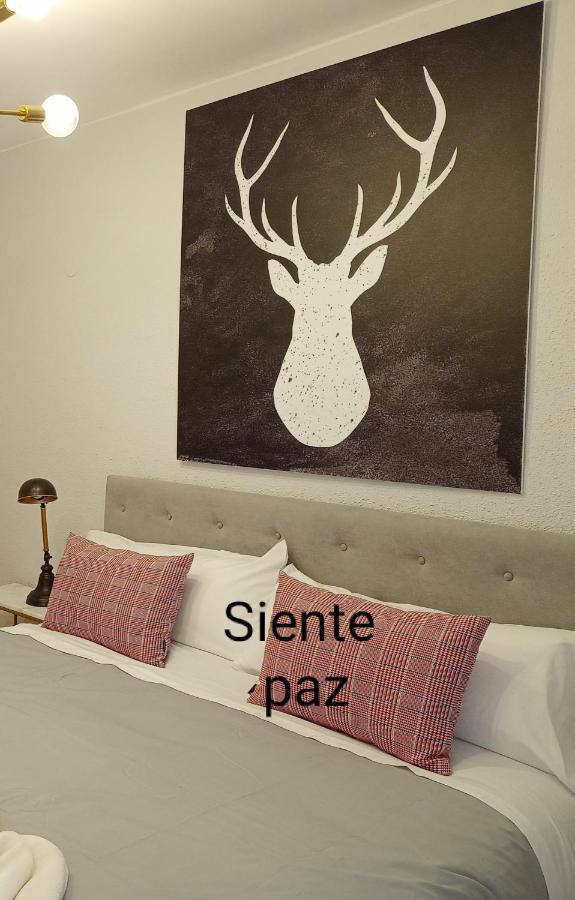 Appartamento Origen Pelaire Excelente Limpieza Y Ubicacion Biescas  Esterno foto